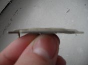 SDC10296.jpg