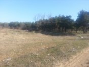 20170329_085946.jpg