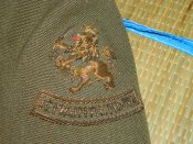 DSCN0476.jpg