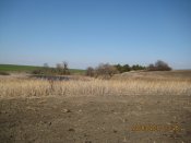 IMG_0078.JPG