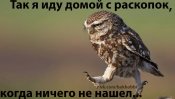 inpyHhENS7Y.jpg