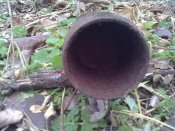 27112011035.jpg