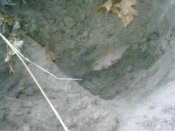 27112011370.jpg