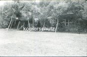 71Zweige2.jpg