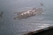 IMAG1410-1.jpg