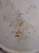 IMG_1897.jpg
