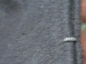 Detailbilder  097.jpg