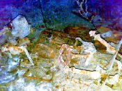 16022008631.jpg