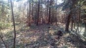 IMG_20170402_102844.jpg