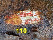 110b.jpg