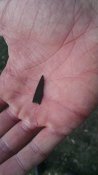 IMG_20170403_174142018.jpg