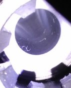 Screenshot_5.jpg