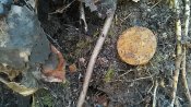 IMG_20170405_112625.jpg