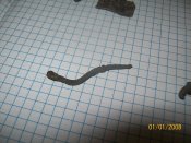 100_3091.JPG