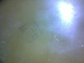 29112011070.jpg