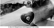 N17-Nun.jpg