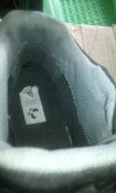 IMG_20170404_071748.jpg