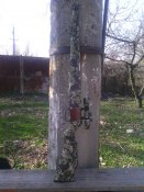 IMG_20170406_085110.jpg