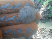 IMG00311.jpg