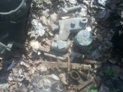 IMG00317.jpg