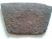 20170407_111217.jpg