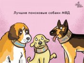 МВД-яндекс.jpg
