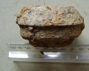 DSC07517.JPG