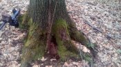 IMG_20170407_143611.jpg
