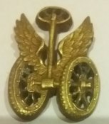 Погонный знак автомобилиста РИА