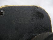 IMG_5541.JPG