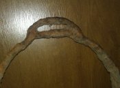 IMAG1443-1.jpg