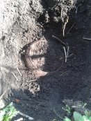 20170408_130747.jpg