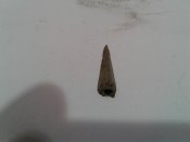 20170408_212900.jpg