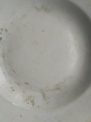 IMG_20170409_143100.jpg
