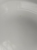 IMG_20170409_145523.jpg