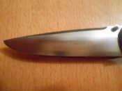 протэк 003.jpg