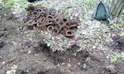 IMG_20170409_155616.jpg