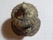 DSCN1582.JPG