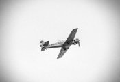 авав-Exposure 25.jpg