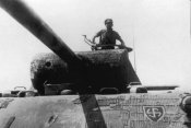 SSWiking_Panther_A169.jpg