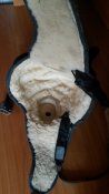 20170411_095851.jpg