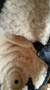 20170411_095817.jpg
