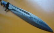 DSC02480.jpg