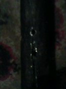 IMG0038A.jpg
