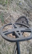 20170409_153806.jpg