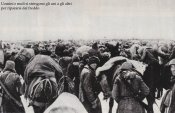 armir8.jpg