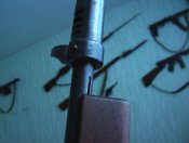 томми 001.jpg