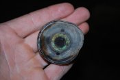 DSC_2592.JPG