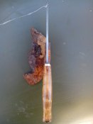 IMG_20170412_080455.jpg