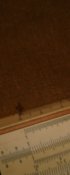 DSC08788.JPG